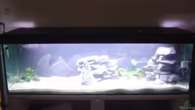 Becken 4632 von Michael Brunner