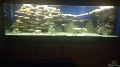 Becken 4654 von Marko Geißler