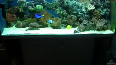 Becken 4655 von Bernd Kienle