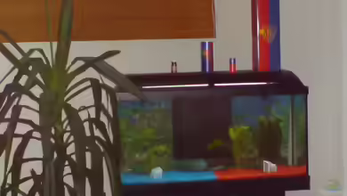 Becken 4661 von Thomas Utiger