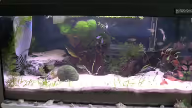 Becken 4673 von Claudia Lübke