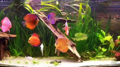 Becken 4674 von Stefan Arenth