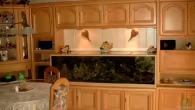 Becken 468 von Angelika Fabick