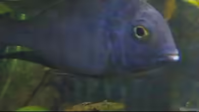 Becken 47 von Stefan Siebenbrunner