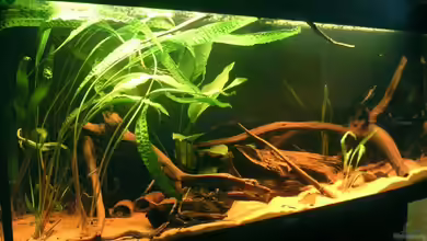 Becken 4750 von Sebastian Zunhammer