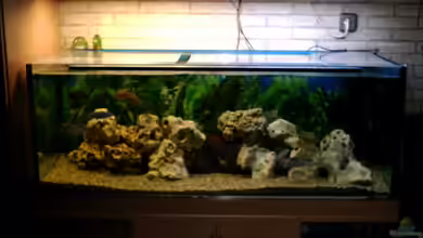 Becken 4796 von Ralf Bergler