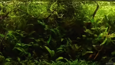 Becken 4819 von Nico Nowotny