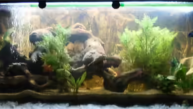 Becken 4826 von Uwe Giesemann