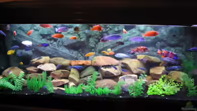 Becken 484 von Lars Küpper