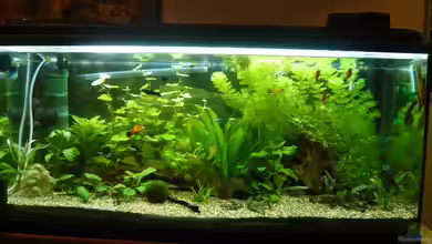 Becken 4866 von Diana Wolff