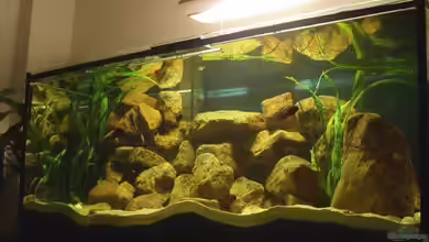 Becken 487 von Jens Rautenberg