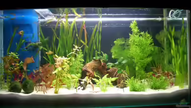 Becken 4889 von Gerd Bunge