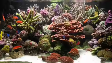 Becken 4895 von Uwe Kerßenfischer