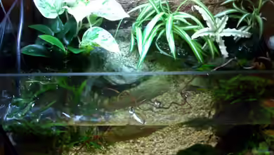 Becken 4899 von Marc Joist