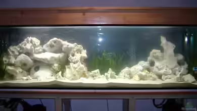 Becken 4902 von Steffen Helbig