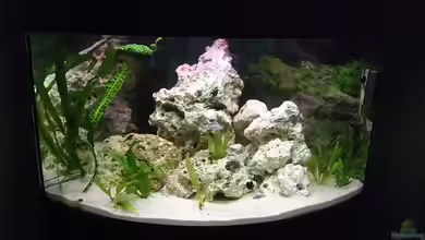 Becken 4948 von Stefan Großmann