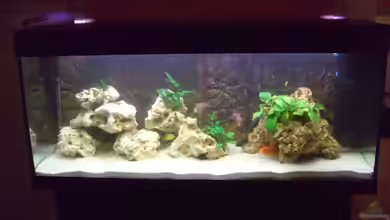 Becken 4958 von Oliver Günzl