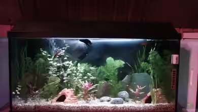 Becken 4959 von Maximilian Hesse