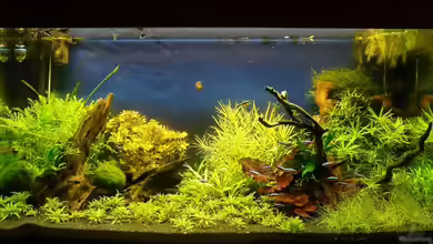 Becken 4975 von Andy Peter