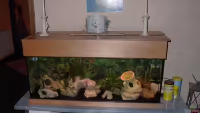 Becken 4983 von Michael Wentzel