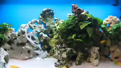 Becken 4996 von Erik Colditz