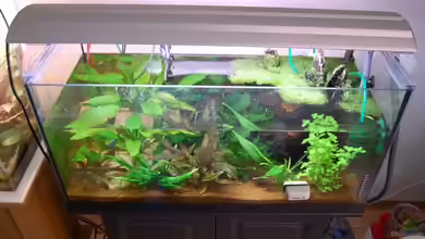 Becken 5016 von Wolfgang Dörfler