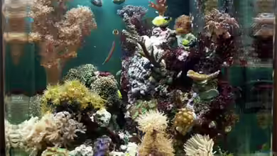 Becken 5028 von Ilonka Rohacek