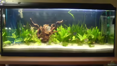 Becken 5040 von Daniel Kroppenberg