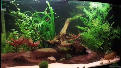 Becken 5061 von Stefan Hartl