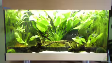 Becken 5067 von Freddy Burghartz