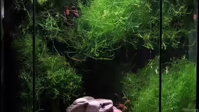 Becken 5068 von Andreas Zitt