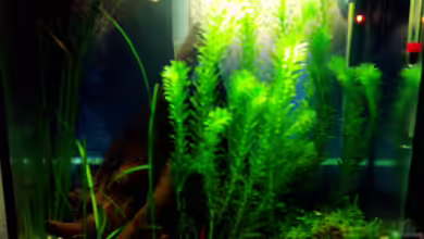 Becken 5105 von Beatrix Schwemer