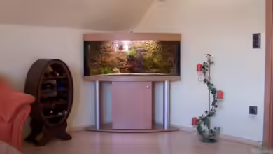 Becken 5168 von Denis Pfütze