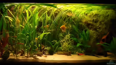 Becken 5180 von Martin Orendi