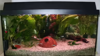 Becken 5192 von Ralf Suffrian