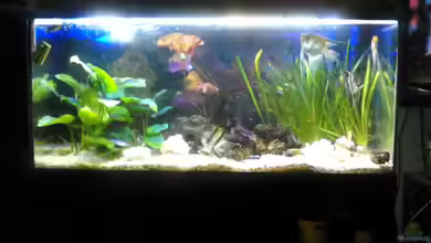 Becken 5211 von Andreas Kraft