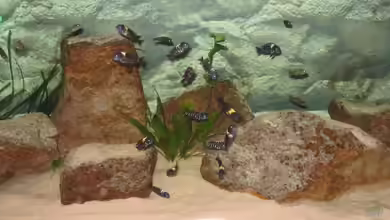 Becken 5255 von Anja und Ingo Hermes