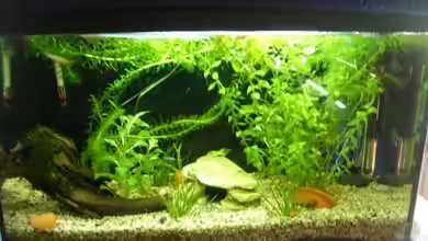 Becken 5279 von Alexandra Kindler