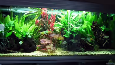 Becken 5317 von Bernd Willikonsky