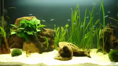 Becken 5318 von Katrin Günther