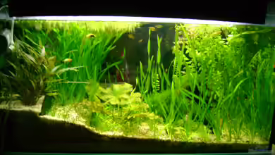 Becken 5335 von Karin Wolff