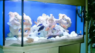 Becken 534 von Bernd Ramsdorf