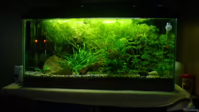 Becken 5361 von Joschka Bienhüls