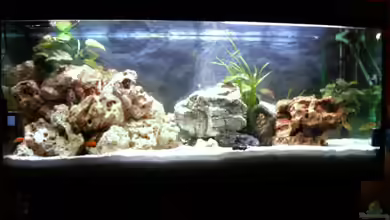 Becken 5371 von Danny Mietzsch