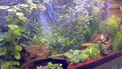 Becken 5395 von Gerwin Jansen