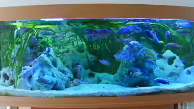 Becken 5414 von Oliver Ritz