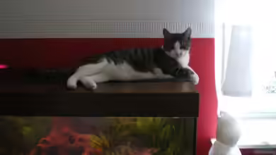 Becken 5430 von Thomas Weißleder