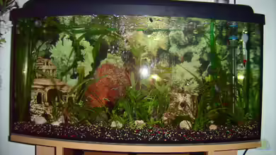 Becken 5437 von Viola Kozur