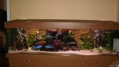 Becken 5482 von Marion Goike