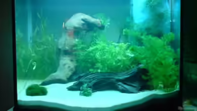 Becken 5602 von Melanie Stege